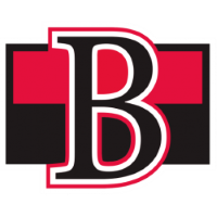 Former team badge icon