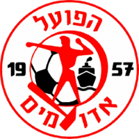 Former team badge icon