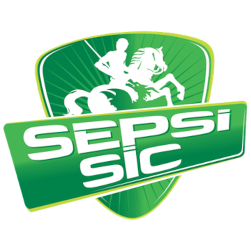 Team Badge icon