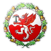 Former team badge icon