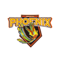 Former team badge icon