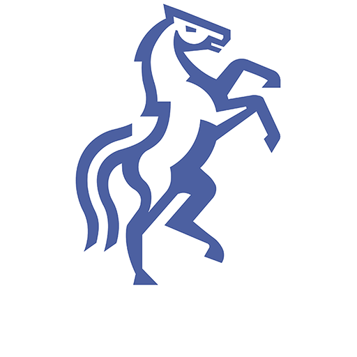 FC Politehnica Iași