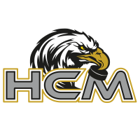 Former team badge icon