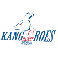 Former team badge icon