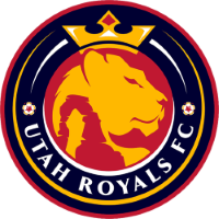 Former team badge icon