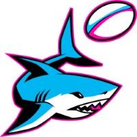 Team Badge