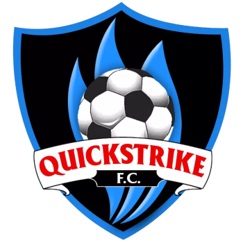 team badge