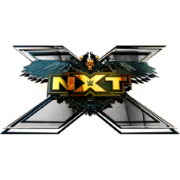 Former team badge icon