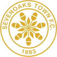 Former team badge icon