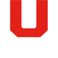 Former team badge icon