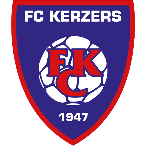 Team Badge icon