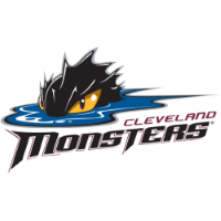 Former team badge icon