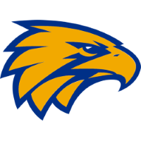 Former team badge icon