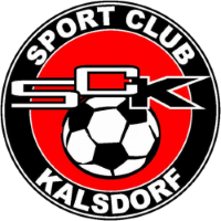 Former team badge icon