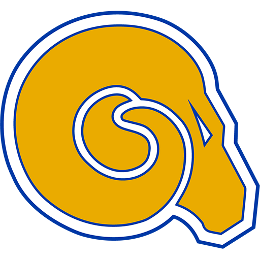 Team Badge icon