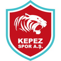 Team Badge