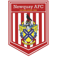Newquay badge