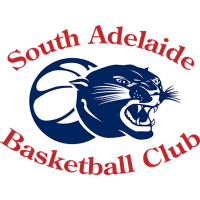 Former team badge icon