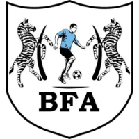 Botswana Women badge