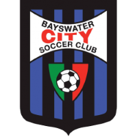 Former team badge icon