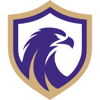 home team badge