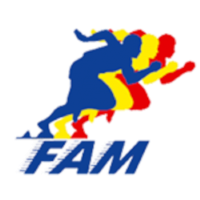 Former team badge icon
