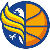 Former team badge icon
