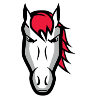 Former team badge icon