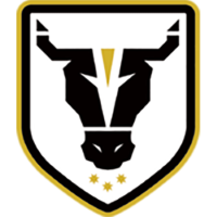 Former team badge icon