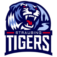 Former team badge icon