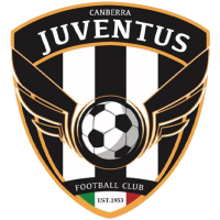 Team Badge