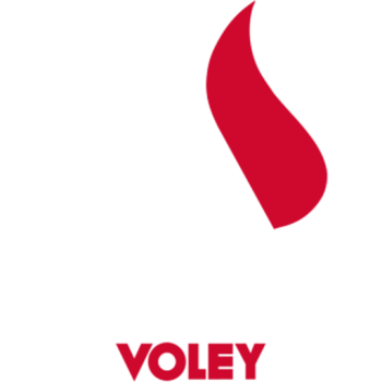 Team Badge