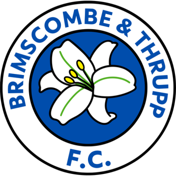 Team Badge