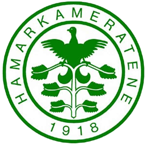Hamarkameratene