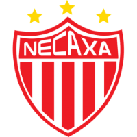 Team Badge