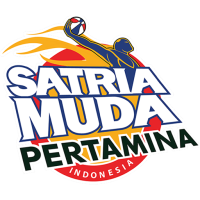 Former team badge icon