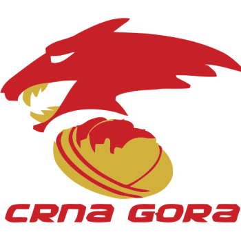 Team Badge