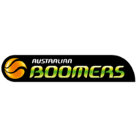 Former team badge icon