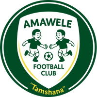 Team Badge