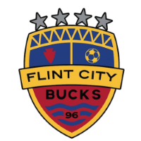Former team badge icon