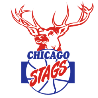 Former team badge icon