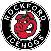 Former team badge icon