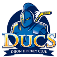 Former team badge icon