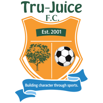 away team icon