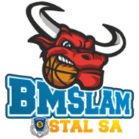 Former team badge icon