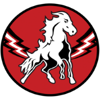 Former team badge icon