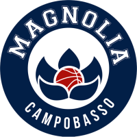 Former team badge icon