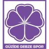 tiny away badge icon