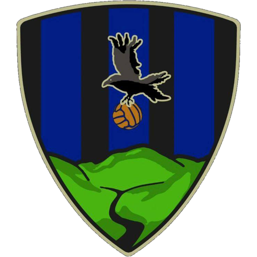 Team Badge icon