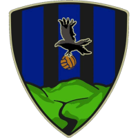 Team Badge
